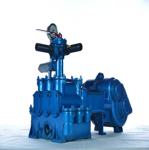 BW45 Horizons Three Cylinder Recinating Double Acting Piston Pump